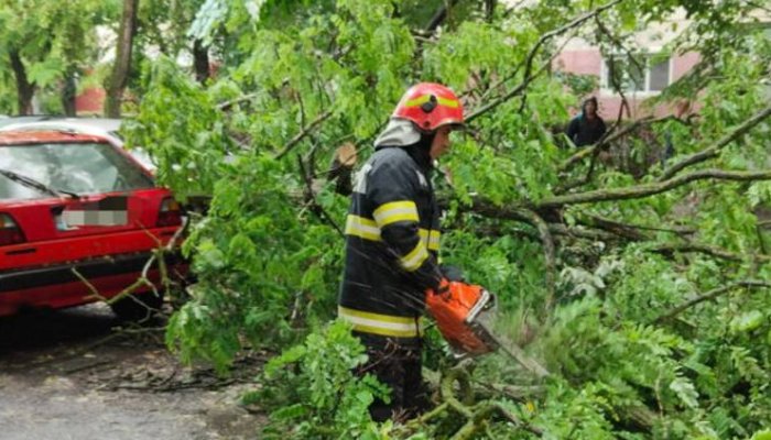 Copaci doborâți de furtună pe DN1 și în Ploiești și Plopeni