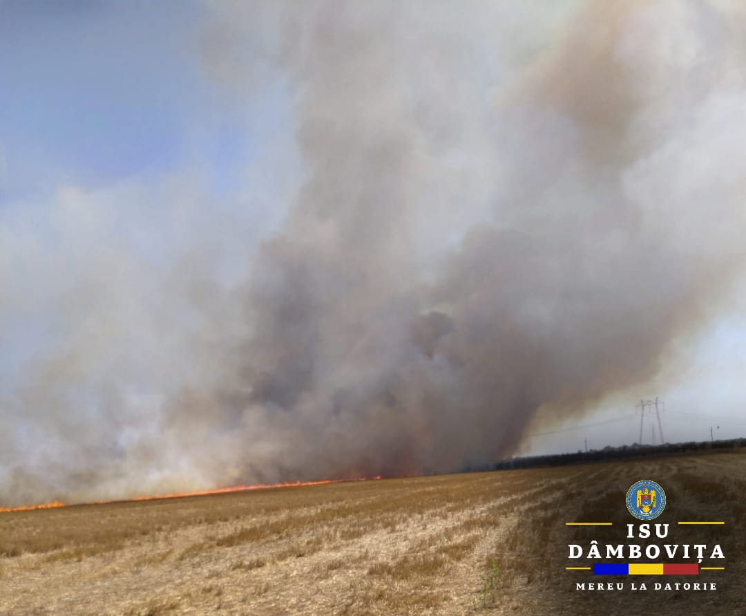 incendiu Ciocănești