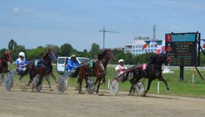 Hipodromul Ploiești curse 17 septembrie