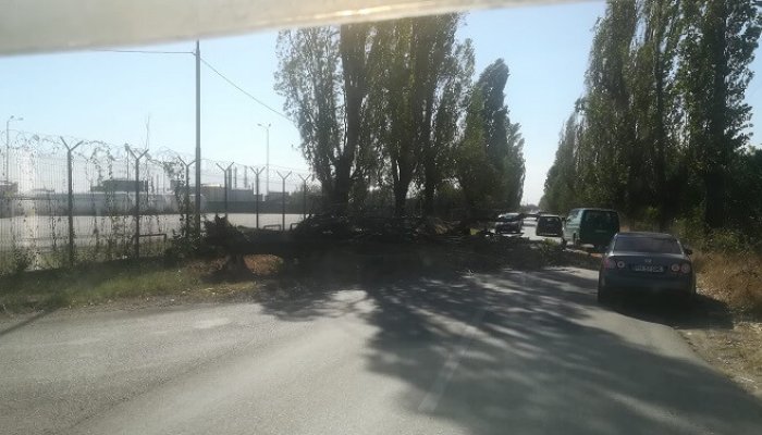 copac doborât de vânt strada valeni vega
