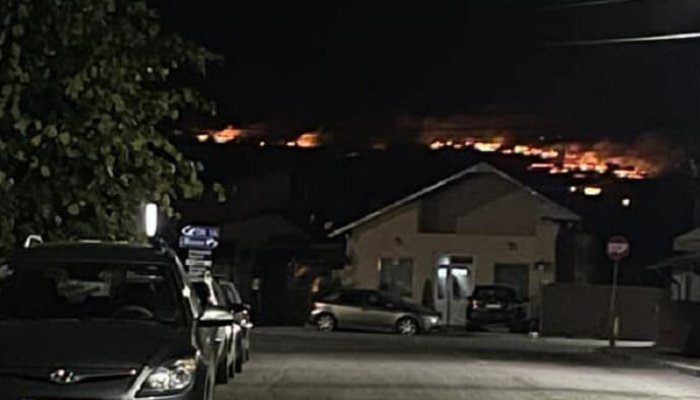 incendiu boldesti dealuri
