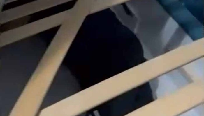 urmărit internațional