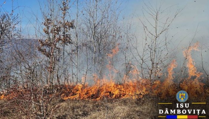 Un incendiu a izbucnit lângă Complexul de Natație Târgoviște
