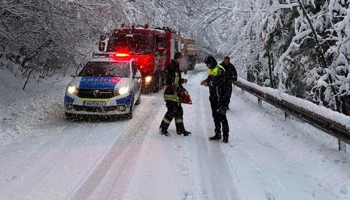 copaci căzuți drumuri brașov