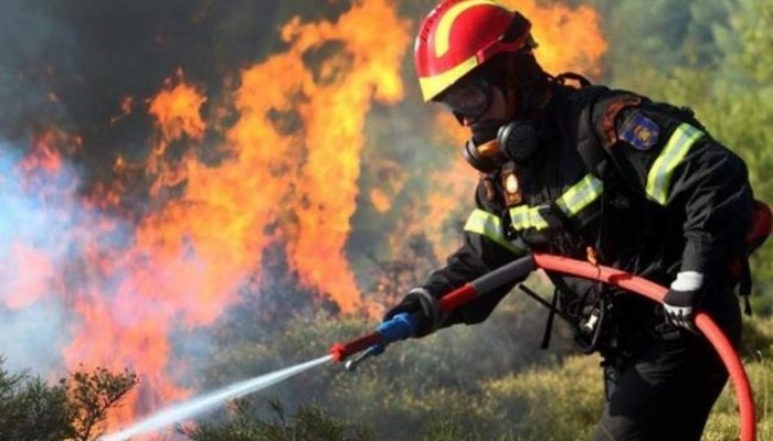 Efectele schimbărilor climatice