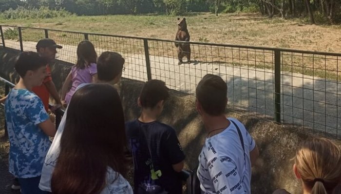 zoo bucov