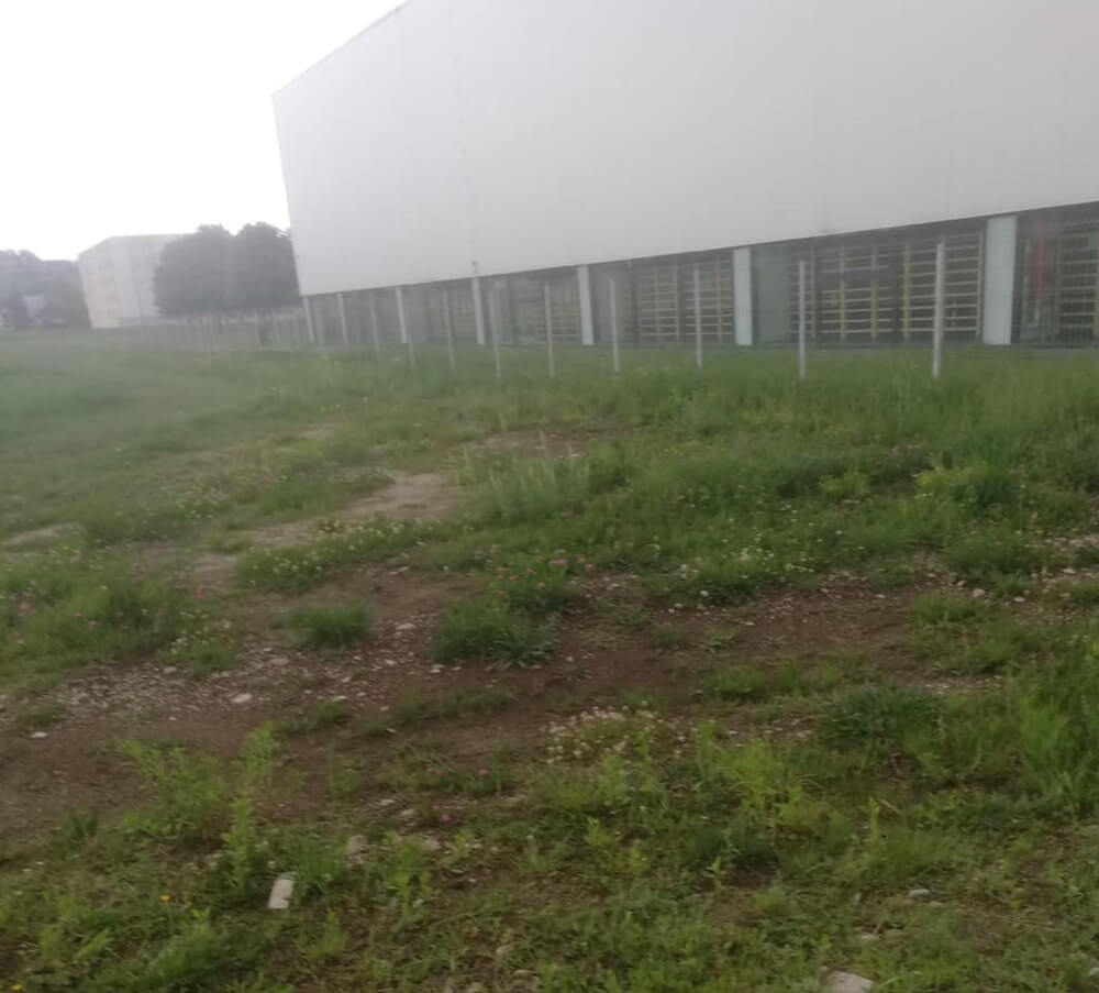 acuzatii sindicatul europol scoala de politie câmpina