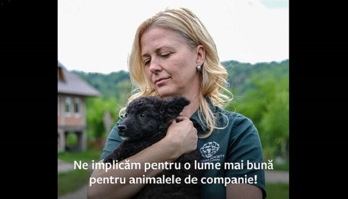 parteneriat