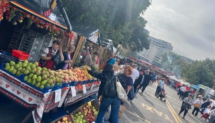 târgul toamnei ploiești 2024