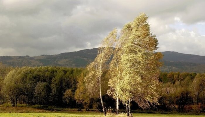 anm avertizare vânt