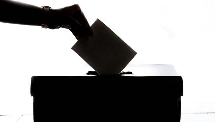 Alegeri parlamentare