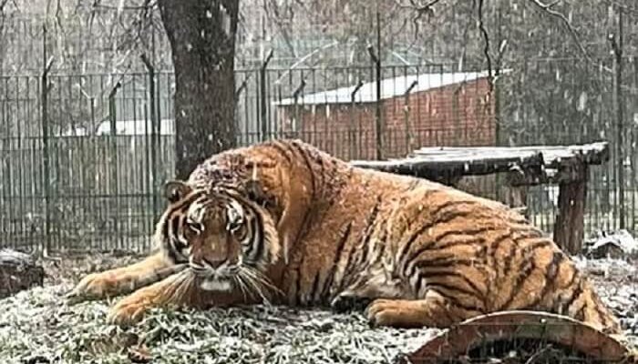 Grădina Zoologică Piteşti