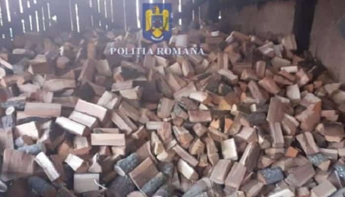  SCUTUL PĂDURII dosare penale delicte silvice