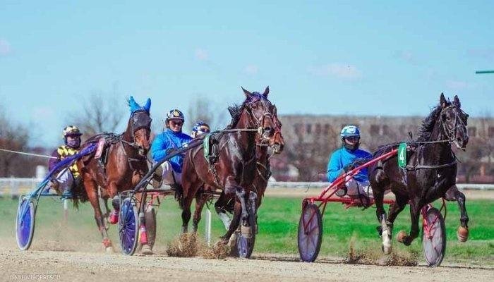 Ultima cursă din acest an, duminică, pe Hipodromul Ploiești
