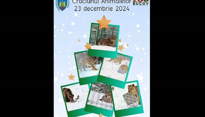 Crăciunul Animalelor