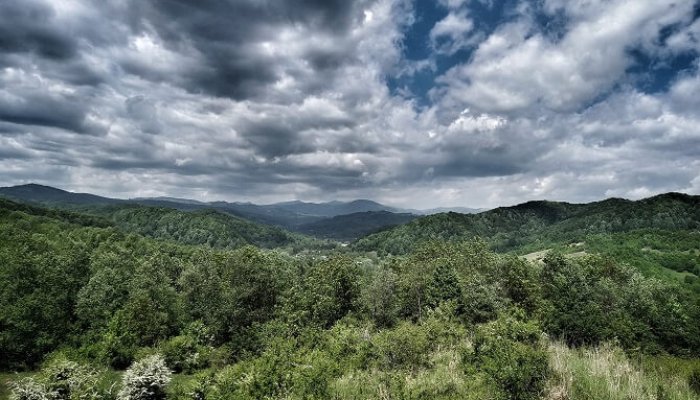 campus provița de sus unatc