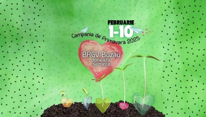 Buzău