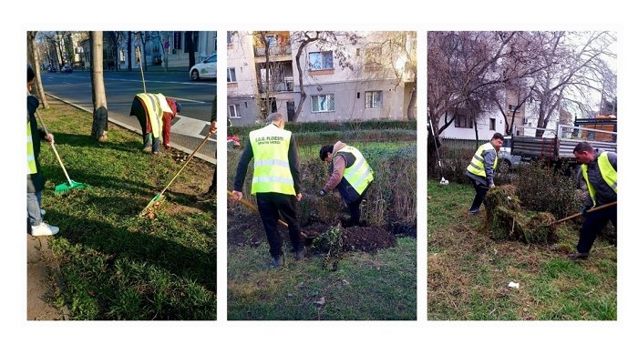 curățenie de primăvară grafic cartiere