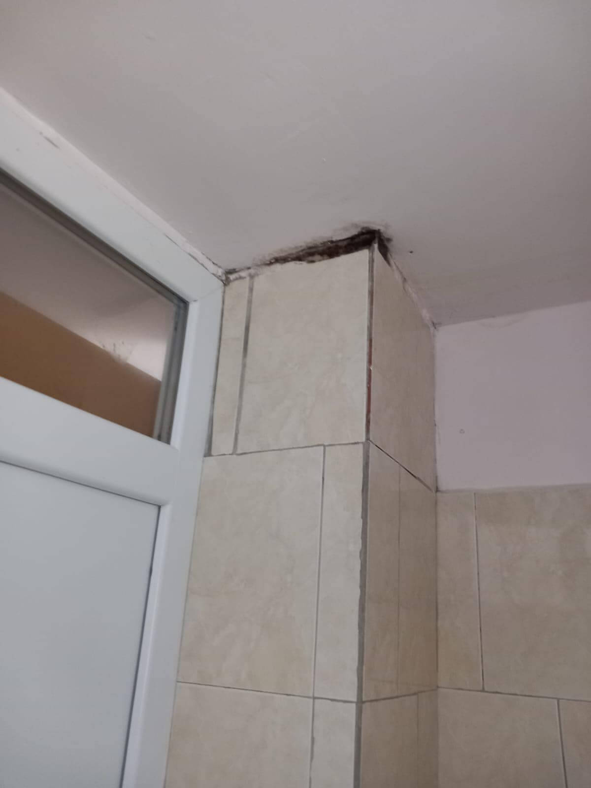 anpc control azil aricestii rahtivani