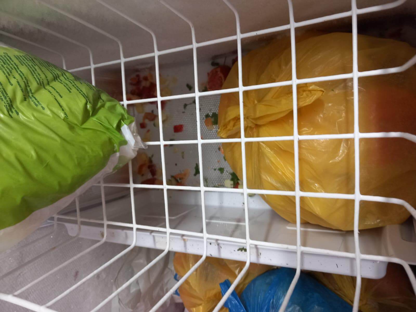 anpc control azil aricestii rahtivani