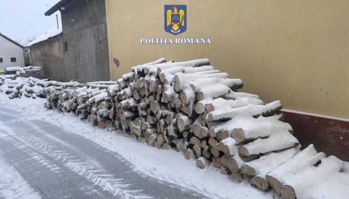 Material lemnos