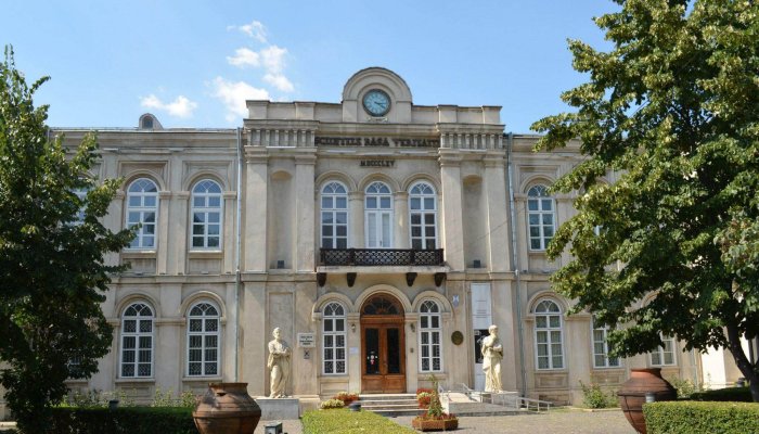 Muzeul Județean