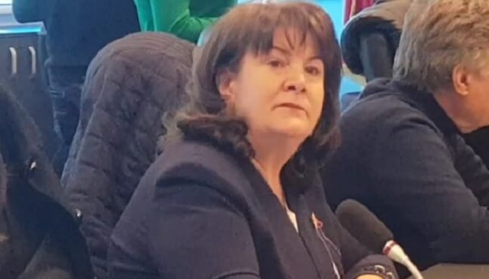 zoia staicu viceprimar ploiești