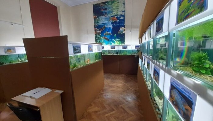 acvariu muzeul de stiinte palatul culturii