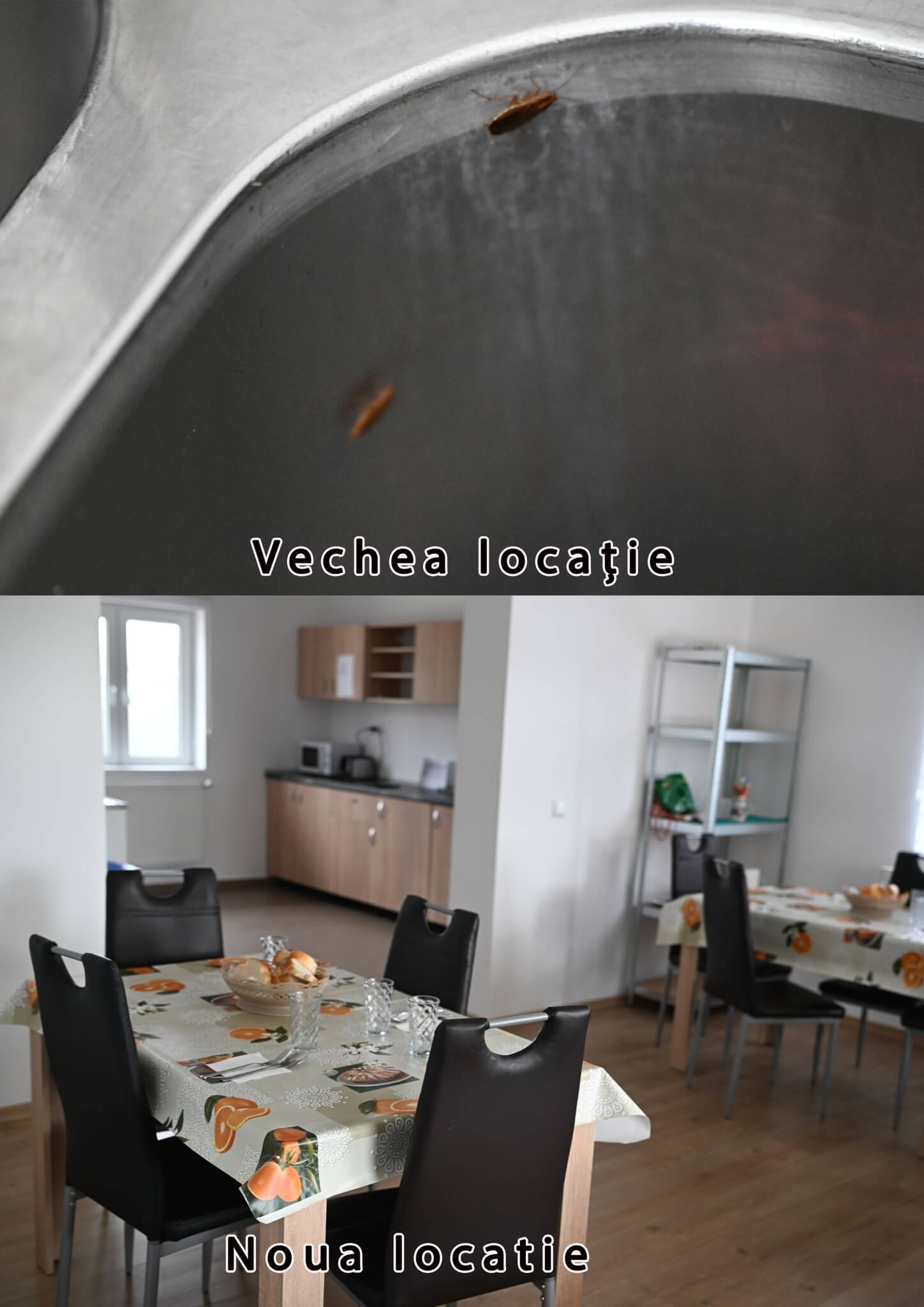 control cj călinești