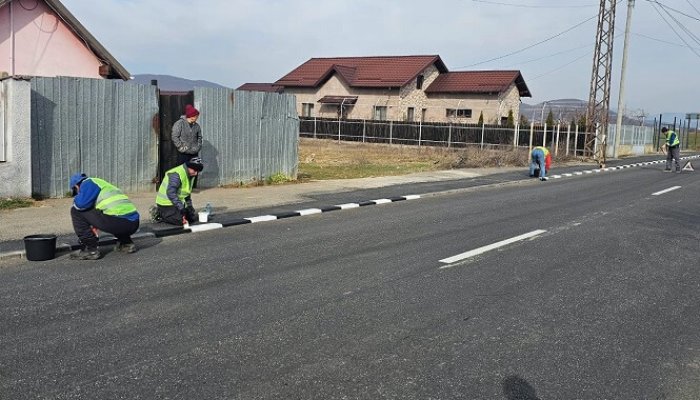 curățenie florești