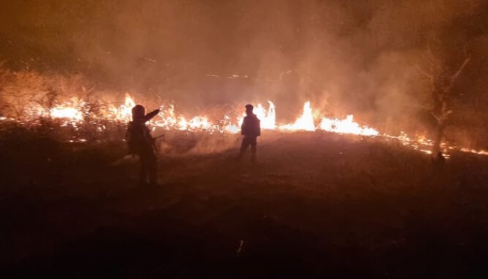 incendii vegetație prahova