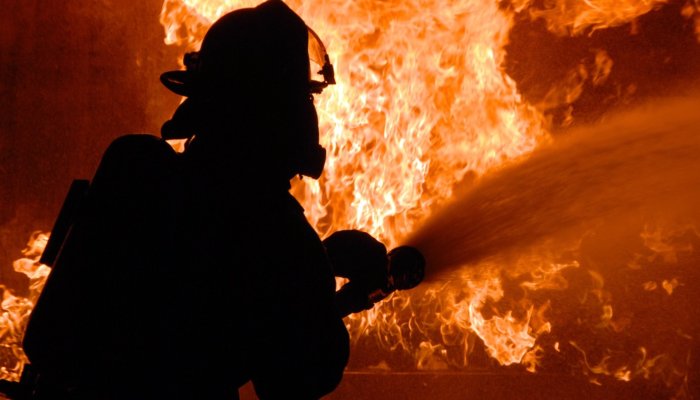 foc