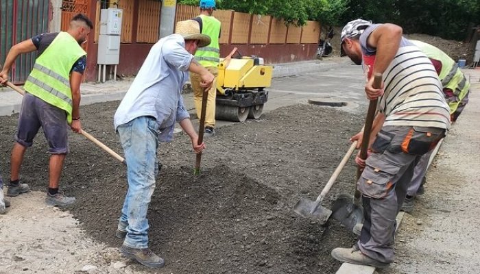 lucrări Pictor Rosenthal 