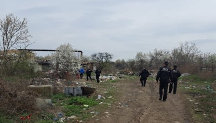 câini periculoși în vestul ploieștiului