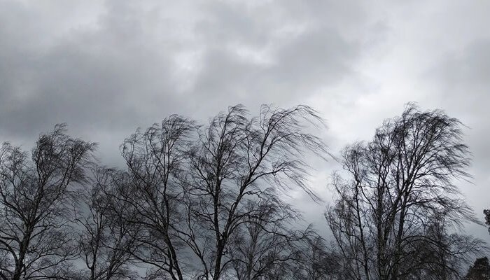 cod portocaliu vânt