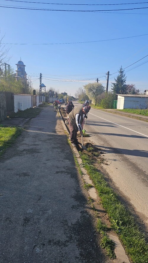 curățenie florești