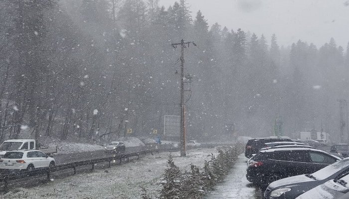 viscol ninsoare valea prahovei