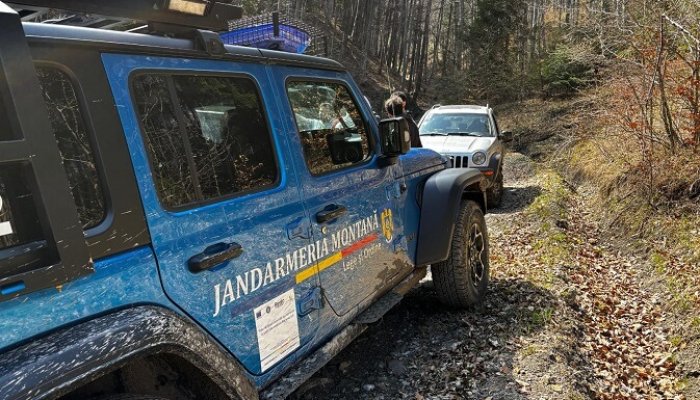 jandarmii curse mașini de teren păduri