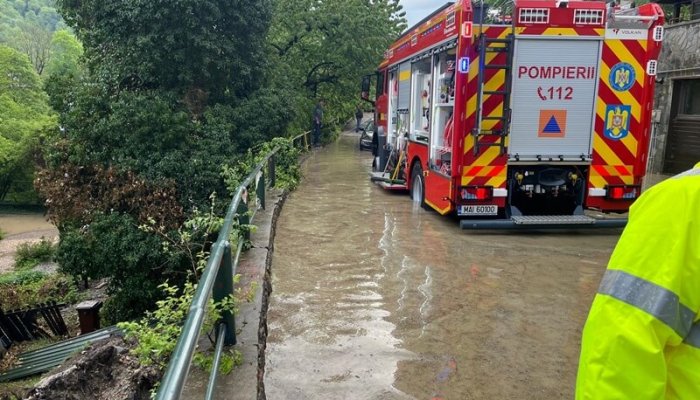 cod galben prahova buzău