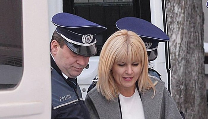elena udrea reducere pedeapsa