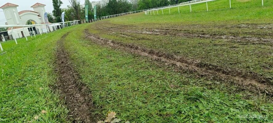 curse anulate 1 iunie pista de galop