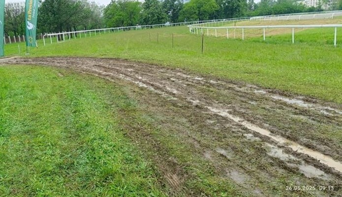 curse anulate 1 iunie pista de galop