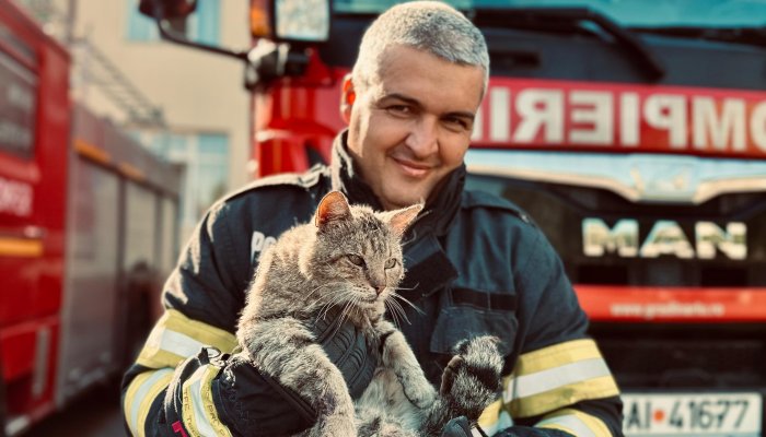 Pisică salvată