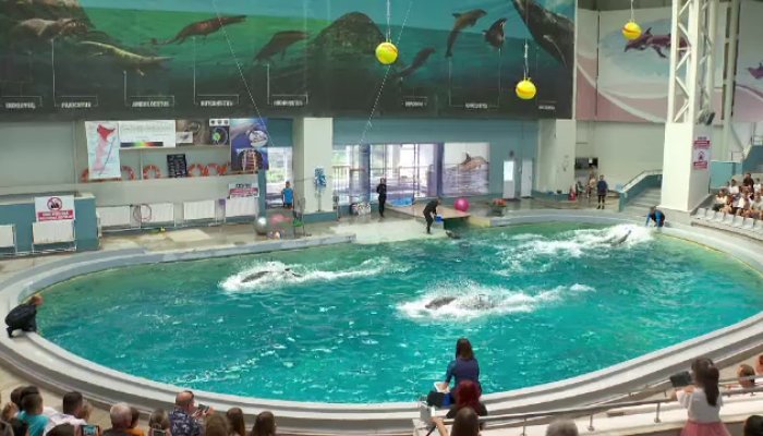 Delfinariul 