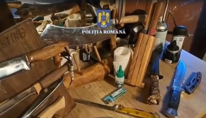 lupte ilegale câini prahova