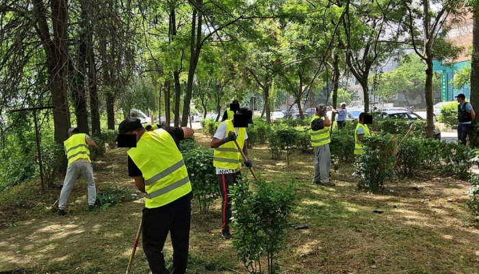 campanie curățenie