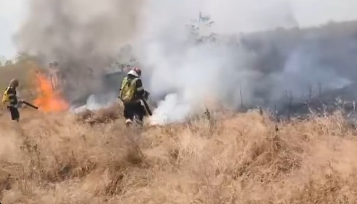 incendiu   de vegetație tulcea pasare