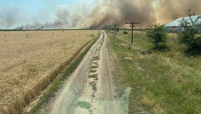 incendiu Scutelnici