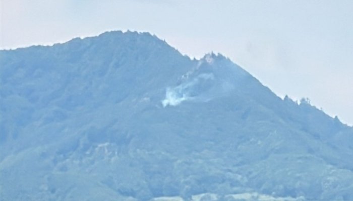 incendiu Găvanele