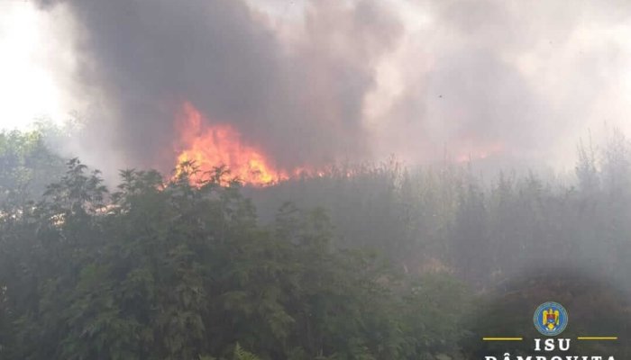 Incendiu